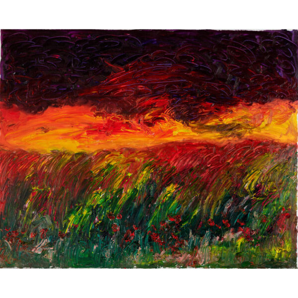 Sunset After the Storm